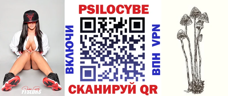 Псилоцибиновые грибы Cubensis Кирсанов