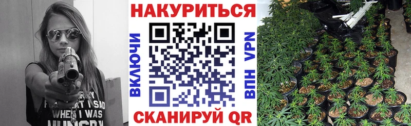 Канабис VHQ  Кирсанов 